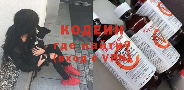 индика Няндома