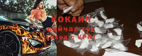 кокс Алексин