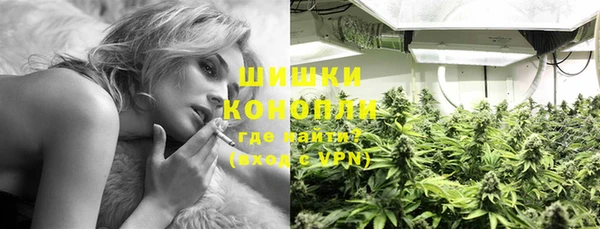 ГАЛЛЮЦИНОГЕННЫЕ ГРИБЫ Алексеевка